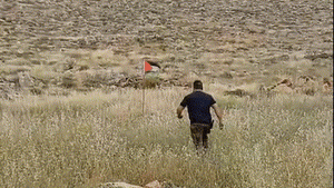 תיעוד מטורף: ישראלי בעט בדגל פלסטין - ומטען התפוצץ עליו